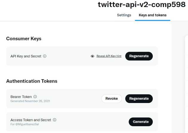 twitter app keys